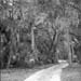 55Road2