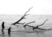 57Adrift